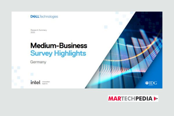 Medium-Business Survey Highlights