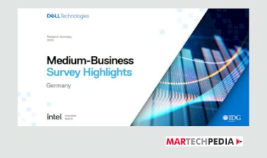 Medium-Business Survey Highlights
