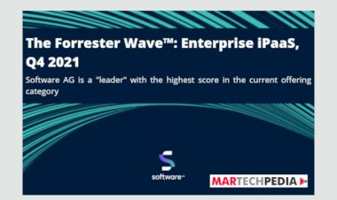 The Forrester Wave : Enterprise_iPaaS_Q4 2021