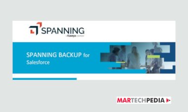 Spanning Backup for Salesforce - Evaluation Criteria