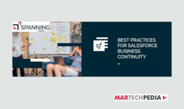 BEST PRACTICES FOR SALESFORCE BUSINESS CONTINUITY