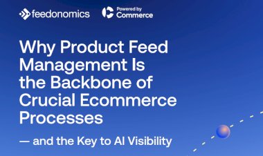 Why Product Feed Management Is the Backbone of Crucial Ecommerce Processes