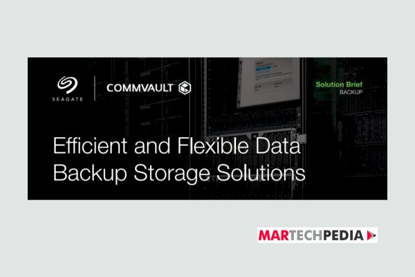 Efficient and Flexible Data Backup Storage Solutions